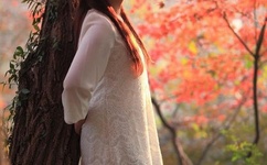 王者荣耀女英雄去掉所有内无2021